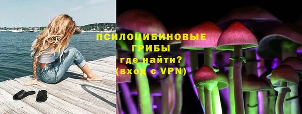 ПСИЛОЦИБИНОВЫЕ ГРИБЫ Балахна